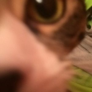 Meet your Posher, Josh